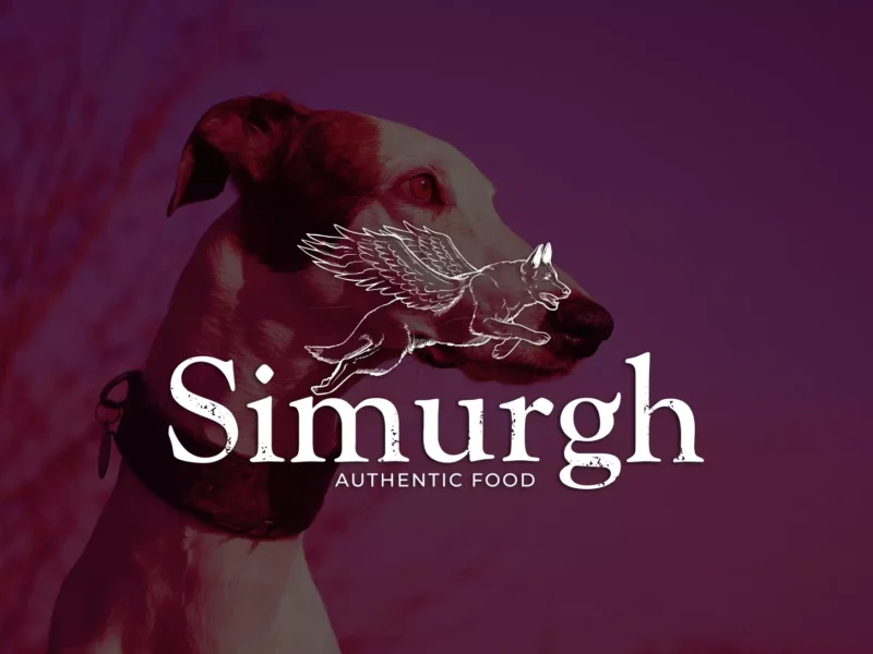 Simurgh Éducation : alimentation Barf, menus Barf personnalisés et éducation canine