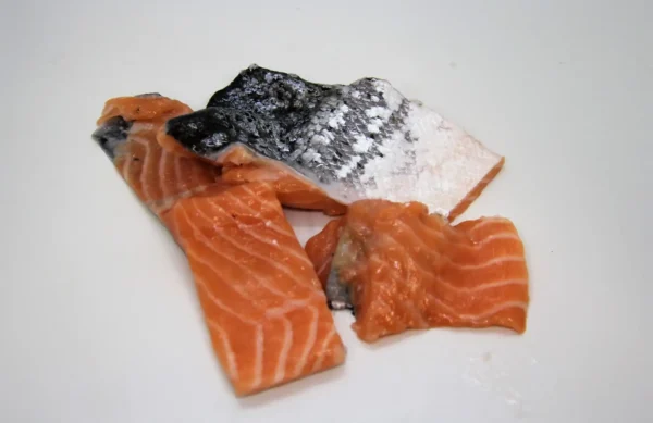 BARF pavé saumon poisson