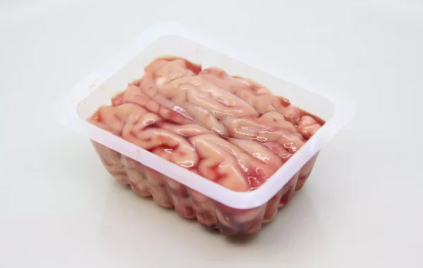 Cervelle porc 600 g nourriture menu barf